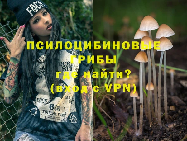 гидропоника Алзамай