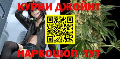 индика Абакан