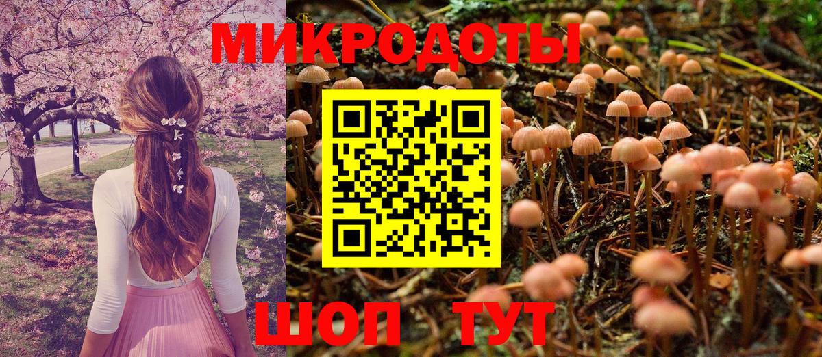 Псилоцибиновые грибы ЛСД Анжеро-Судженск