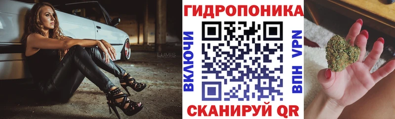 Бошки марихуана LSD WEED  купить наркоту  Анжеро-Судженск 